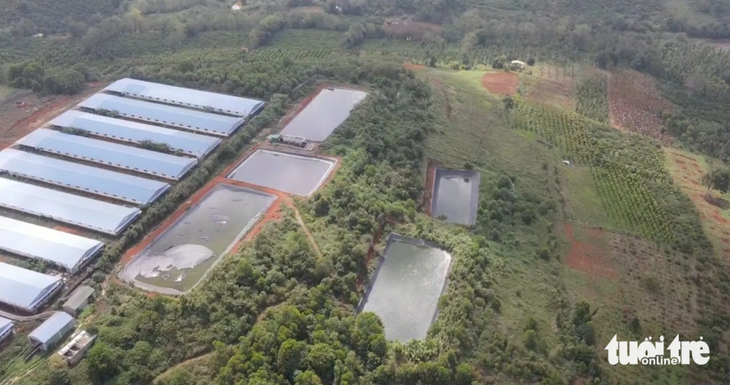 Trang trại nuôi heo gây ô nhiễm, doanh nghiệp tố cáo lãnh đạo sở - Ảnh 1. Trang trại nuôi heo của doanh nghiệp gây ô nhiễm bị xử phạt, nhưng quay lại tố cáo lãnh đạo - Ảnh: L.P.