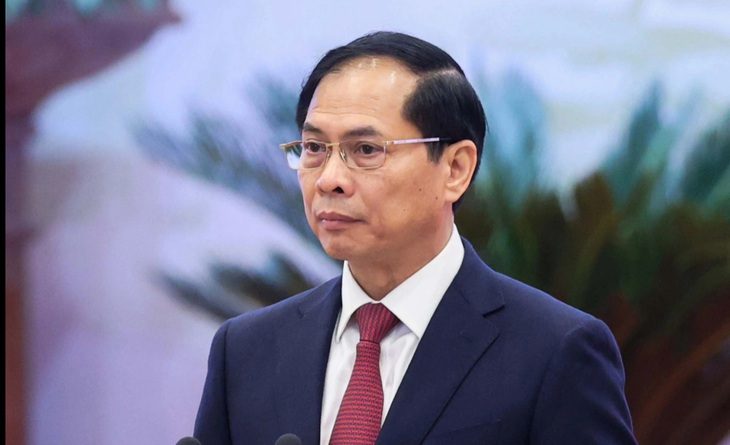 Bộ trưởng Bộ Ngoại giao nêu giải pháp chống tham nhũng, tiêu cực- Ảnh 1. Bộ trưởng Bộ Ngoại giao Bùi Thanh Sơn - Ảnh: D.L.