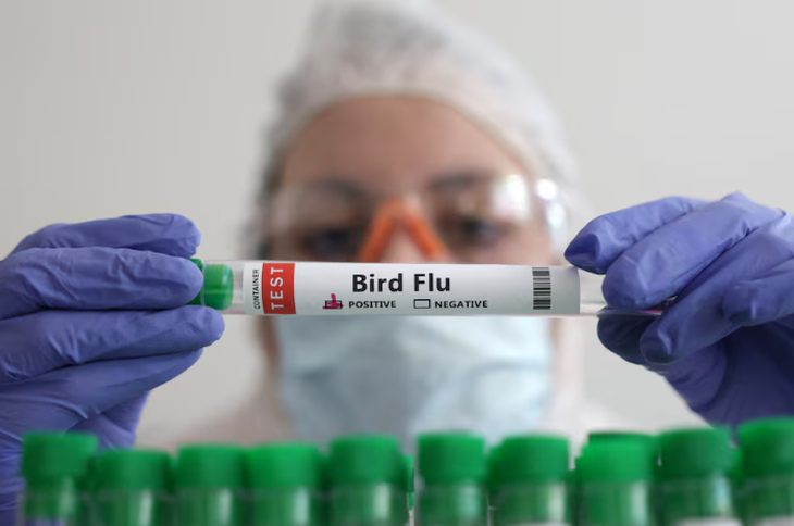 A person holds a test tube labelled Nhân viên y tế cầm ống nghiệm đánh dấu "dương tính cúm gia cầm" - Ảnh minh họa: REUTERS