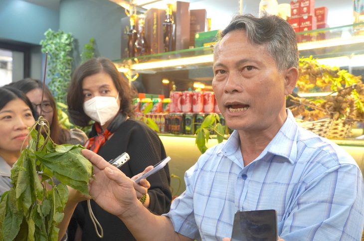 Biến hóa tam thất thành sâm Ngọc Linh, cách nào phân biệt thật - giả? - Ảnh 1. Biến hóa tam thất thành sâm Ngọc Linh, cách nào phân biệt thật - giả? - Ảnh 1.